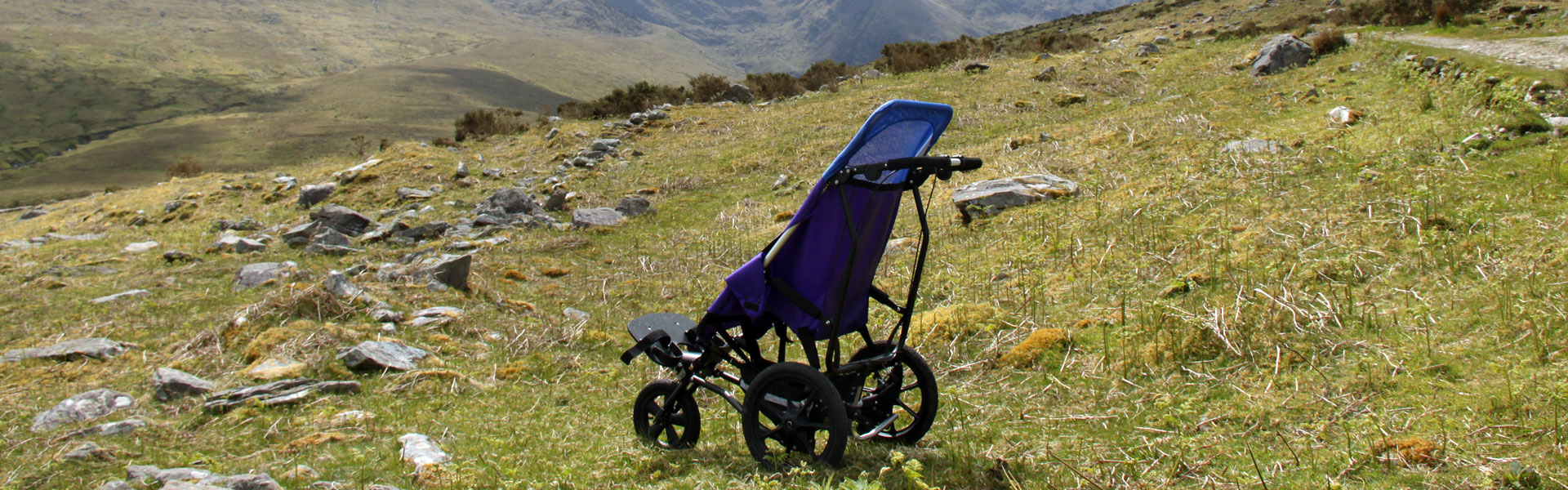 buggies for disabled adults