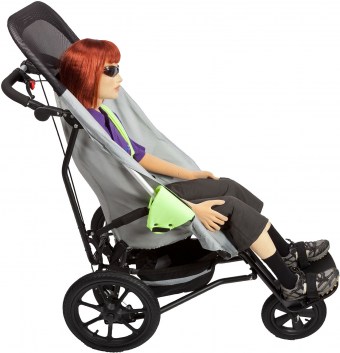 special stroller special needs