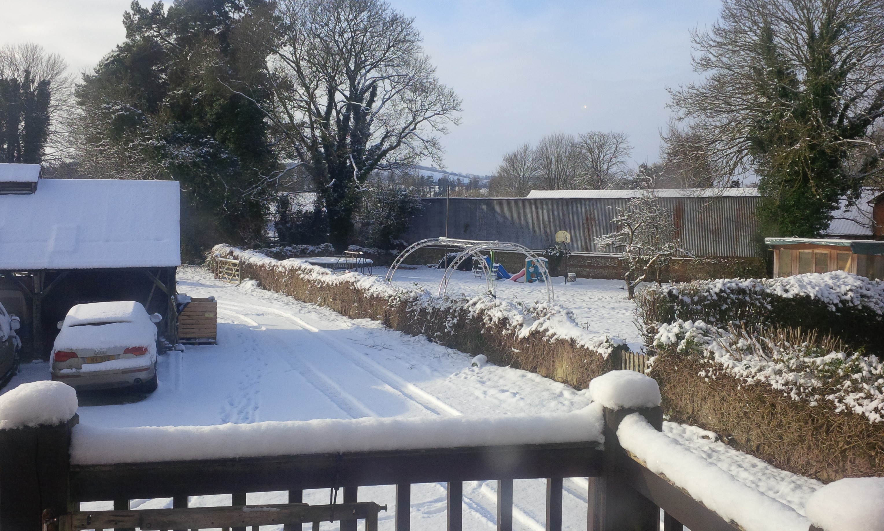 Delichon's premises covered in snow