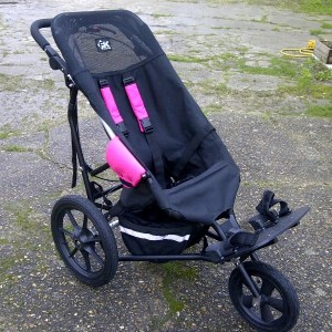 Blank and Pink Delta Buggy