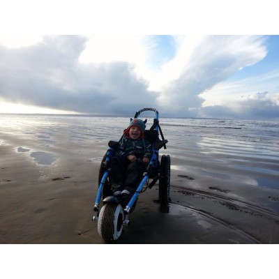 Hippo on beach in Wales